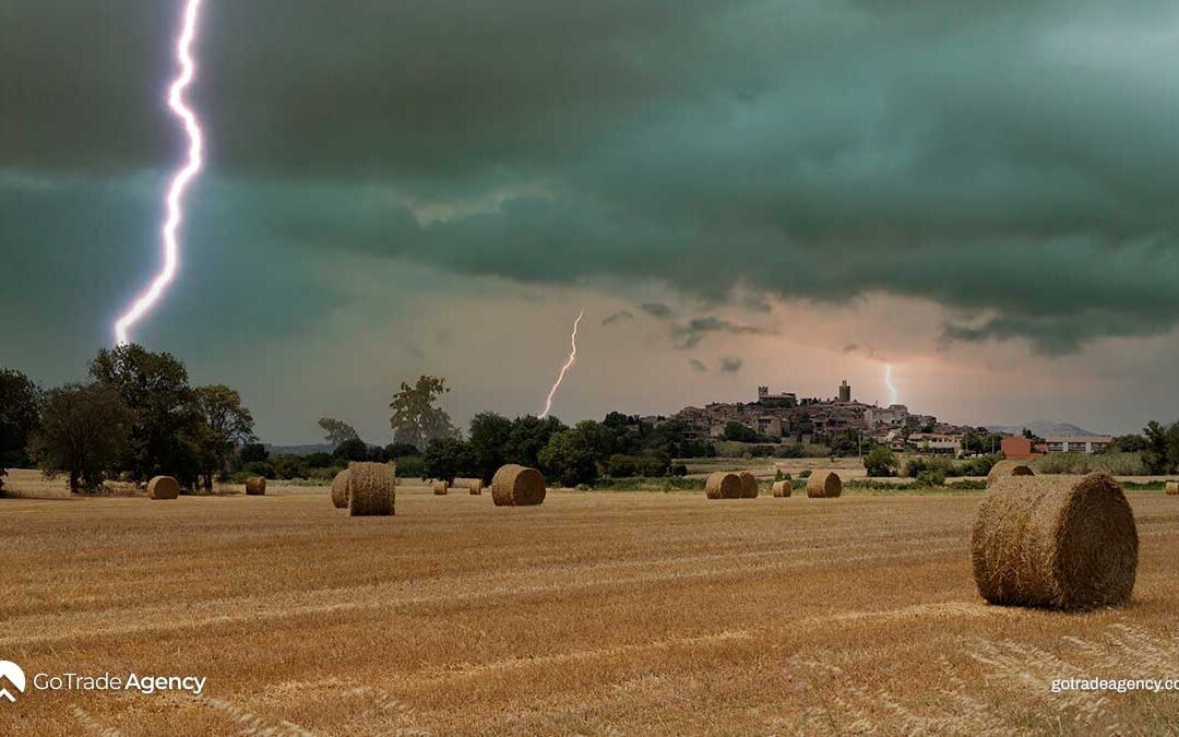 Agricultural Industry: Weather Woes and Policy Shifts