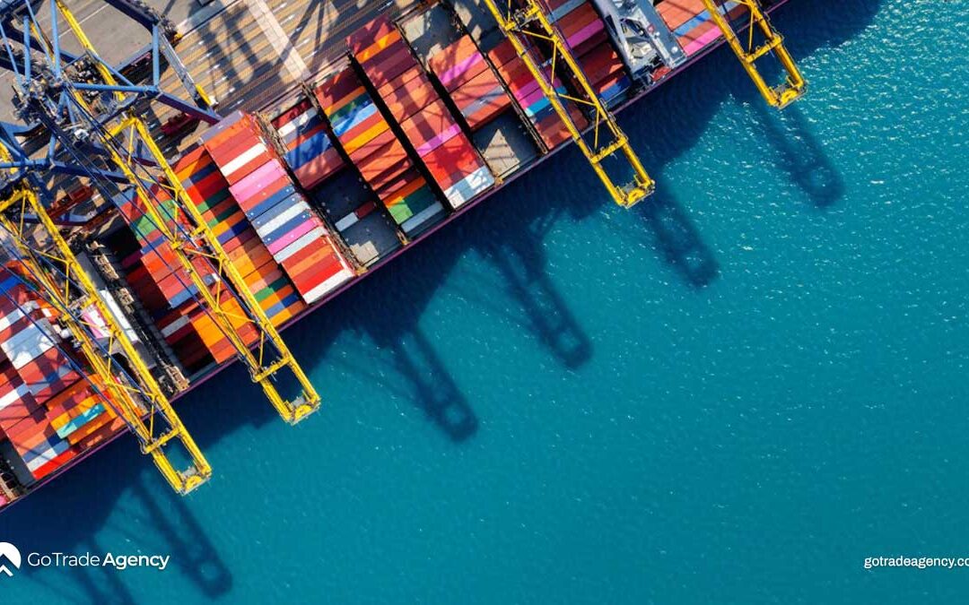 Looking Ahead; Strategies for Resilience