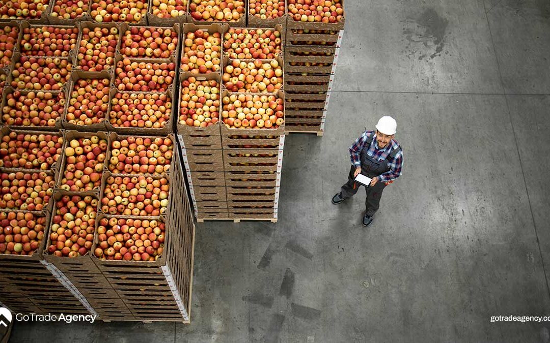 Turkish Agricultural Exports Thrive Amid Policy Reforms and Innovation