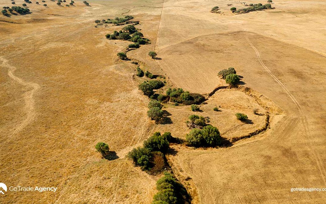 Agriculture & Food Industry Developments