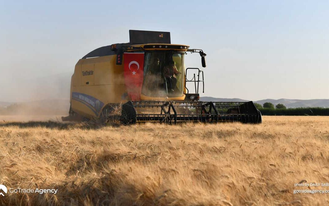 Turkish Agriculture. Policy Changes Fuel Export Momentum