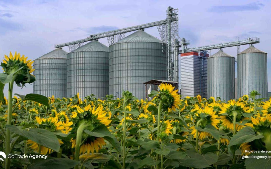 Certified Sunflower Cooking Oil from Ukraine. Pure, GMO-Free and Label Flexibility