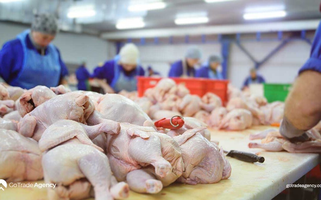 Frozen Chicken Pieces, Whole Poultry; Quality Supply and Global Handling