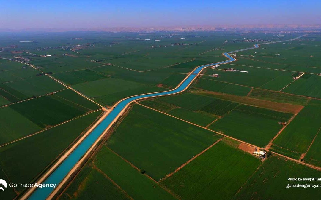 Mediterranean Agricultural Trade Booms. Türkiye’s Role as a Key Supplier