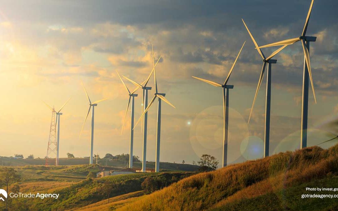 Türkiye’s Renewable Energy Equipment Market. From Solar Panels to Wind Turbines