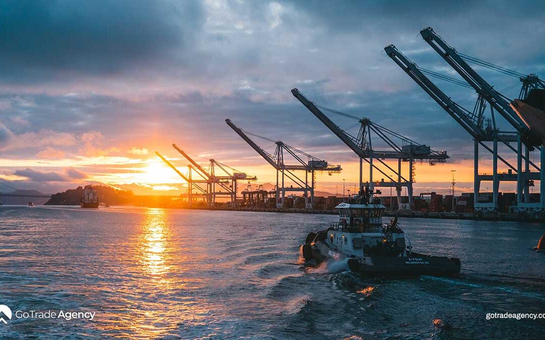 Oil Prices Steady as Markets Await OPEC+ Direction