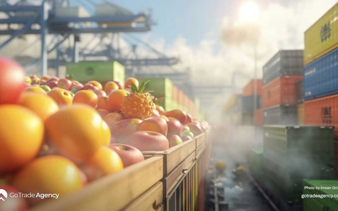 Türkiye’s Cold Storage and Logistics Capabilities for Agricultural Exports